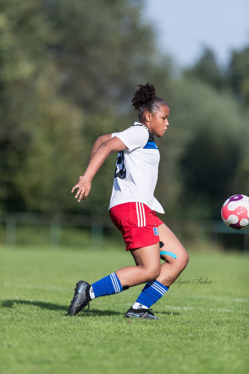 Bild 182 - wBJ VfL Pinneberg - Hamburger SV 2 : Ergebnis: 1:3